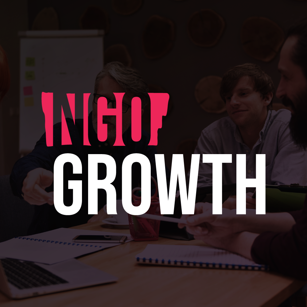 NGO Growth — sesiune de lucru